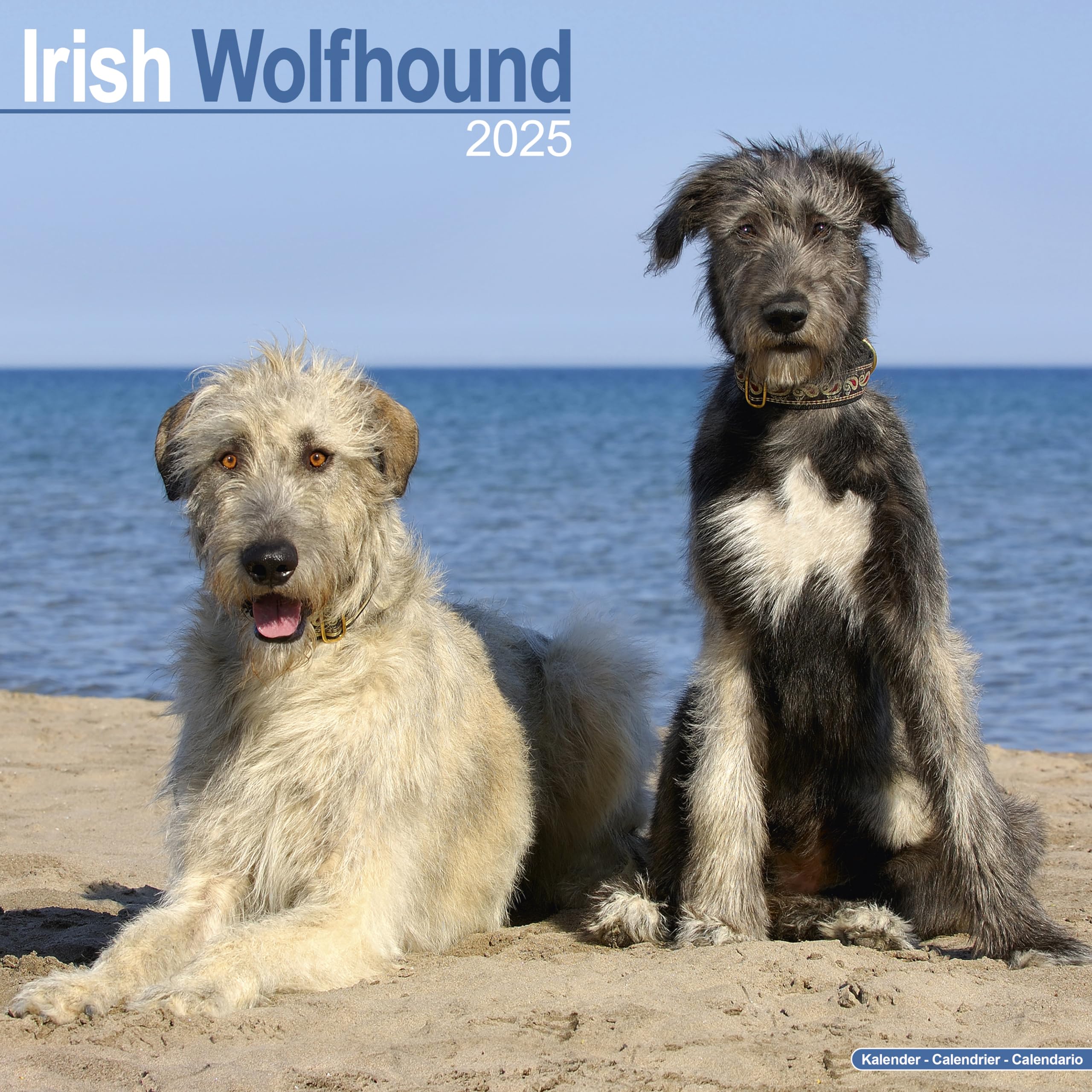 Irish Wolfhound 2025 Square Wall Calendar | Dog Breed Calendar