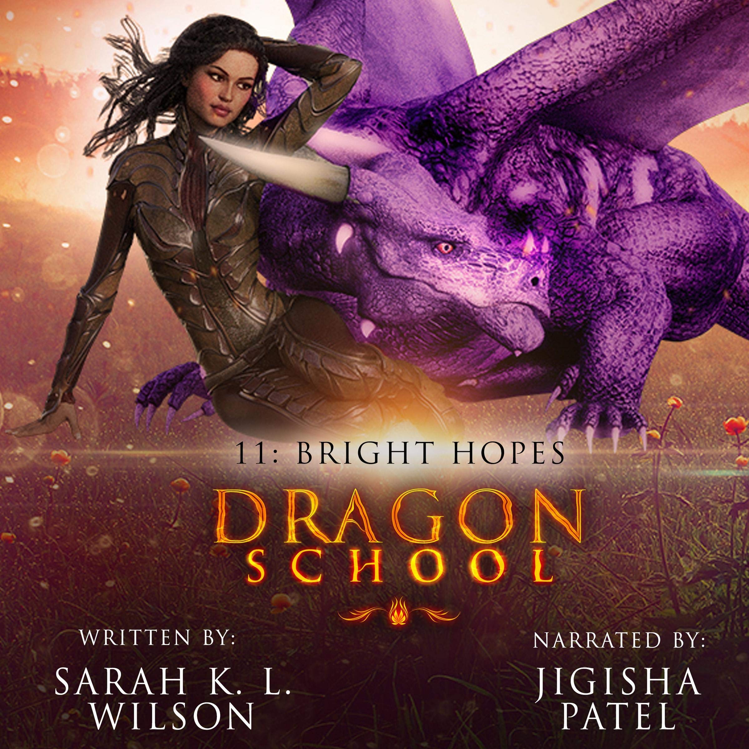Cover art for Dragon School: Bright Hopes
