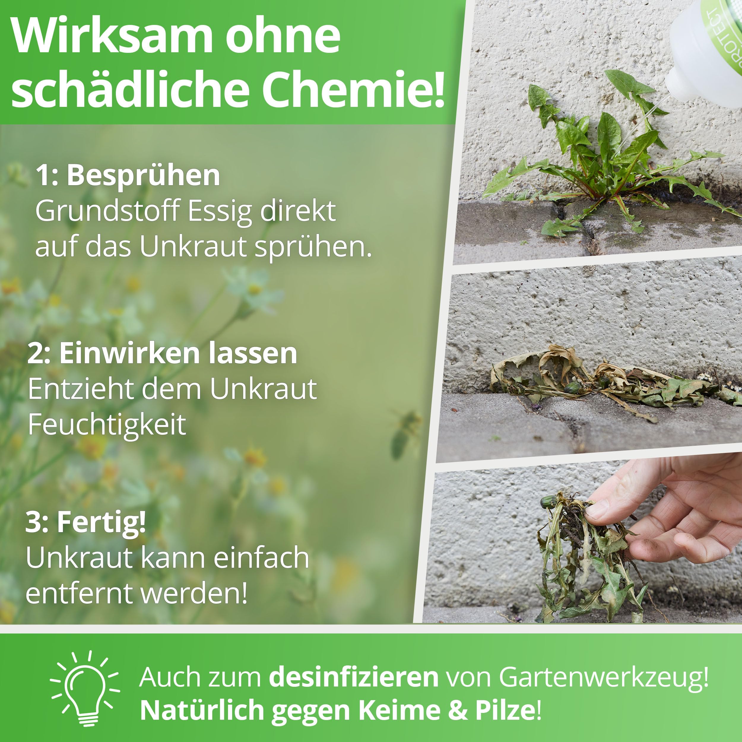 Nanoprotect Unkraut-Stopp Grundstoff Essig/Acetum 5 Liter | Natürlicher Unkrautvernichter für Wege, Pflaster & Terrassen | Biologisch abbaubar | Vinegar E 260 Lebensmittelqualität | Essigsäure