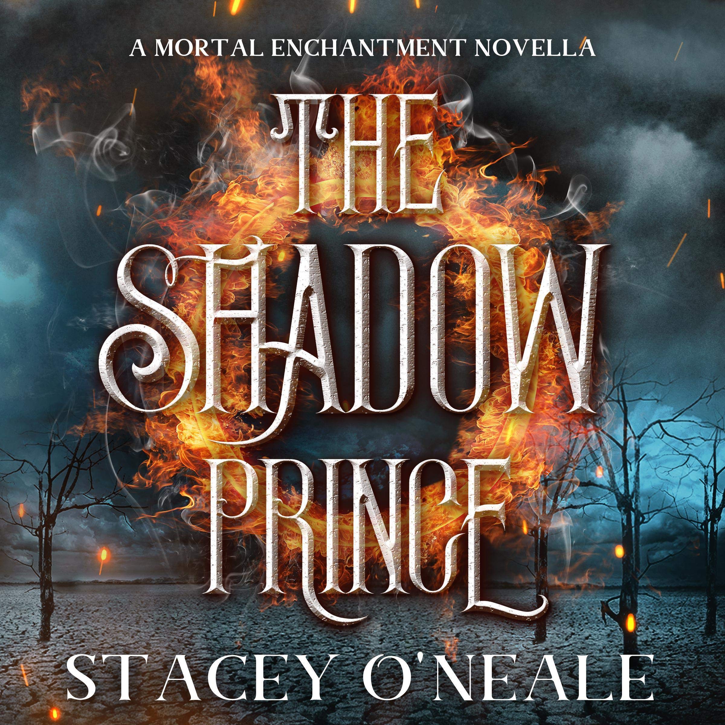 Cover art for The Shadow Prince