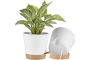 FaithLand Self-Watering Pots: Perfect Plant Haven for Greenery