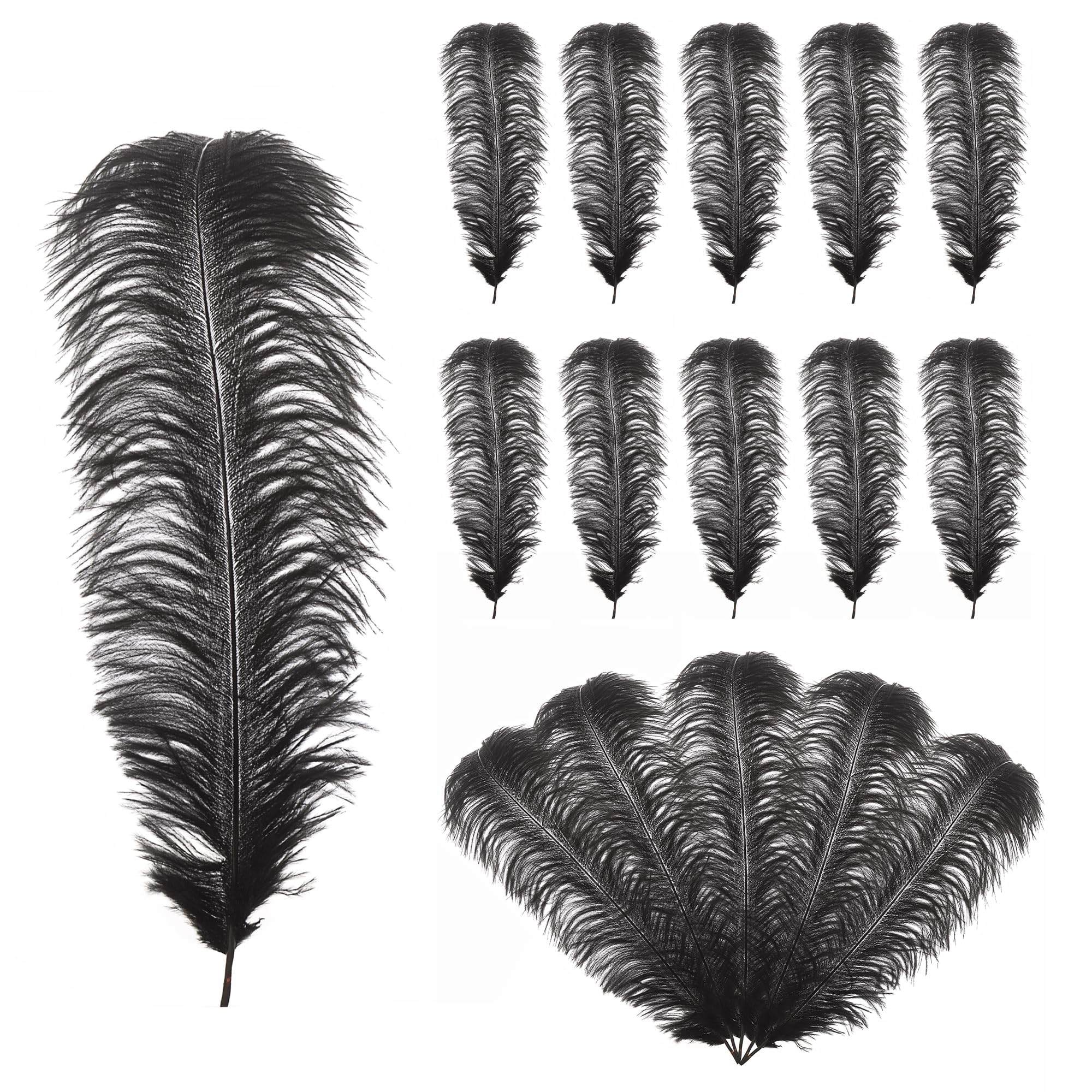Trimming Shop 19"-23"(50cm - 60cm) Large Ostrich Feathers, Showgirl Spadones - for Decorating Costumes, Headdresses, Weddings & Party Table Decoration, Playing with Pets and Horse Plume, Black, 10pcs โ image 1