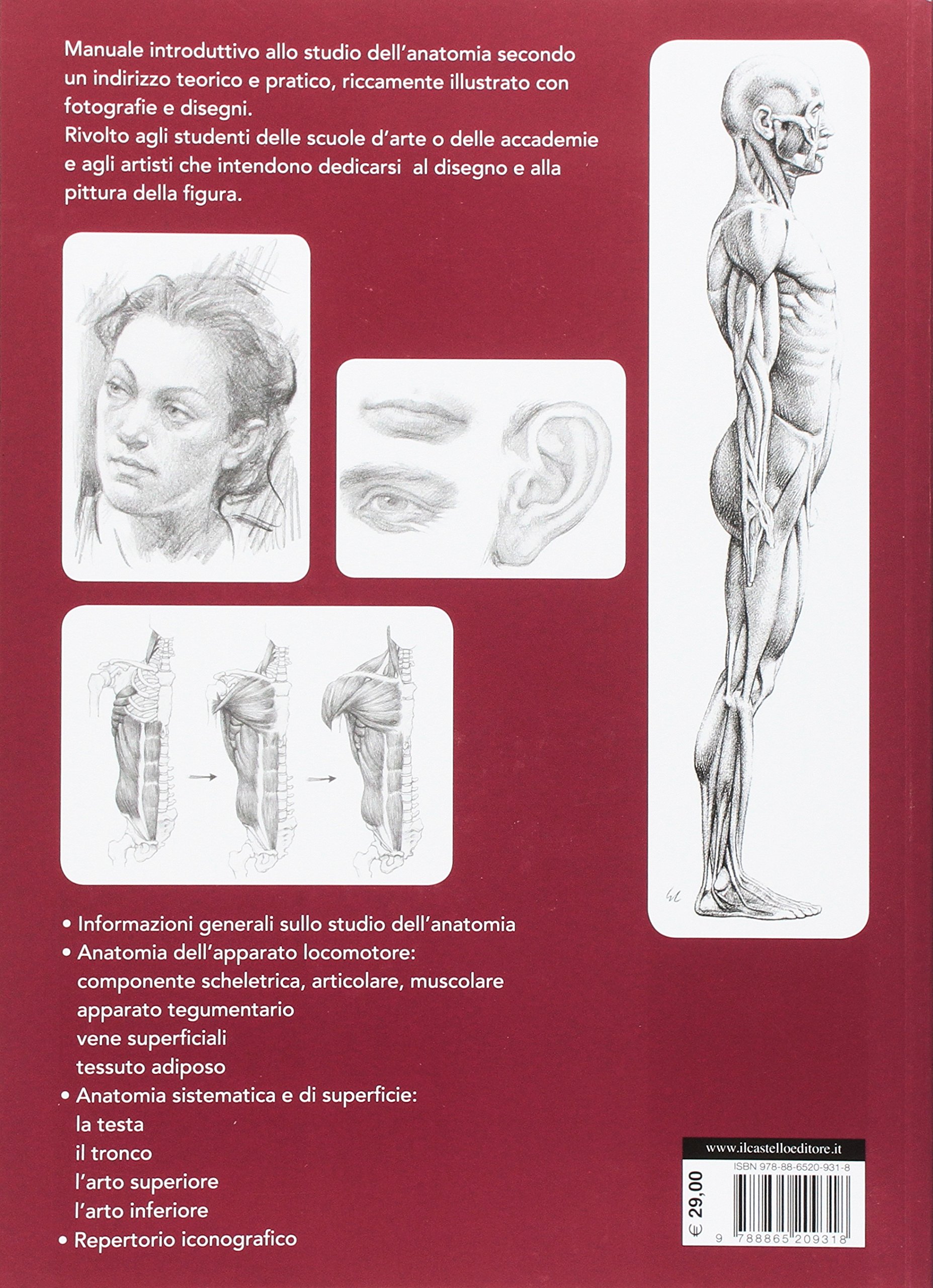 Anatomia per l'artista