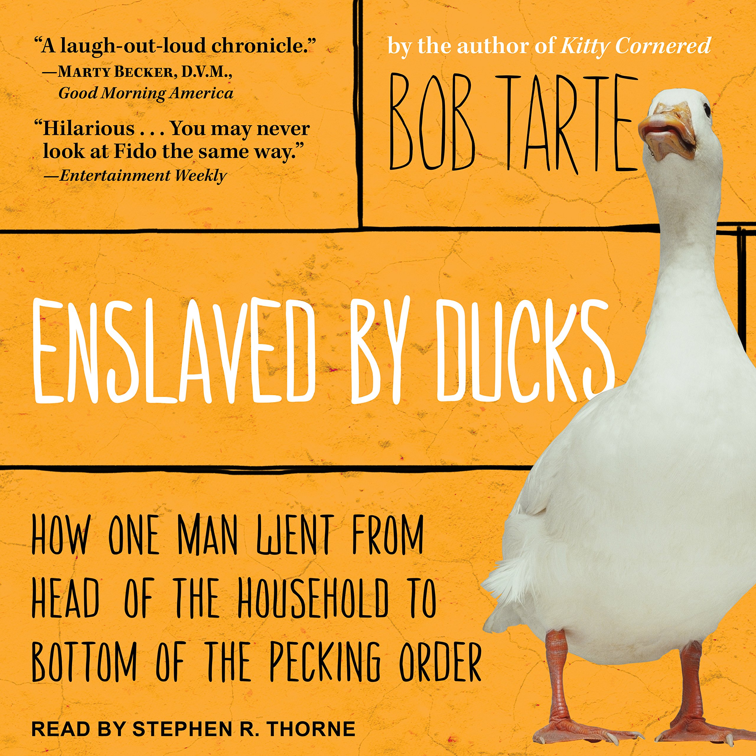 Cover art for Enslaved by Ducks