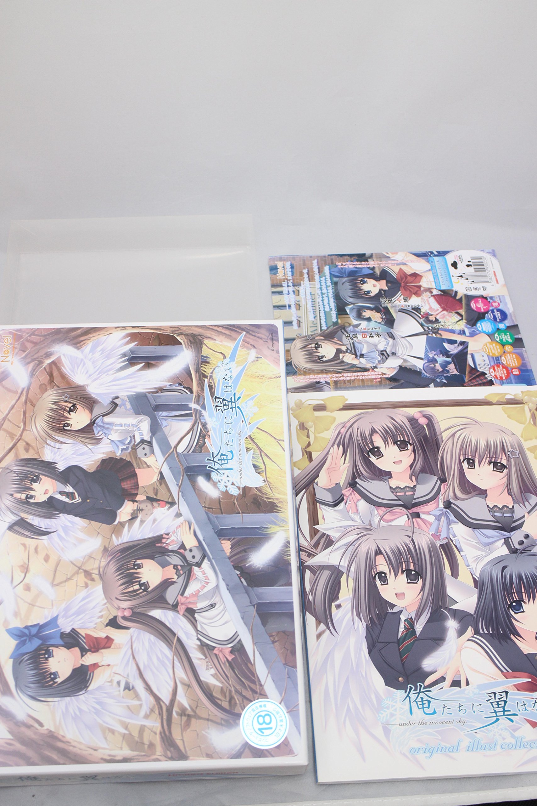 俺たちに翼はない　ヘルタースケルター小説【入手困難】 918kaKq5JcL.jpg