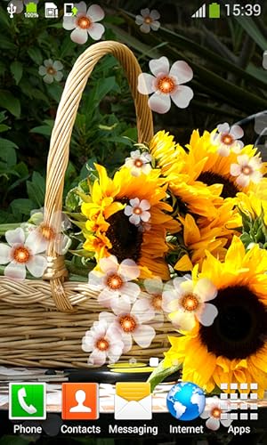 Sunflower Live Wallpapers
