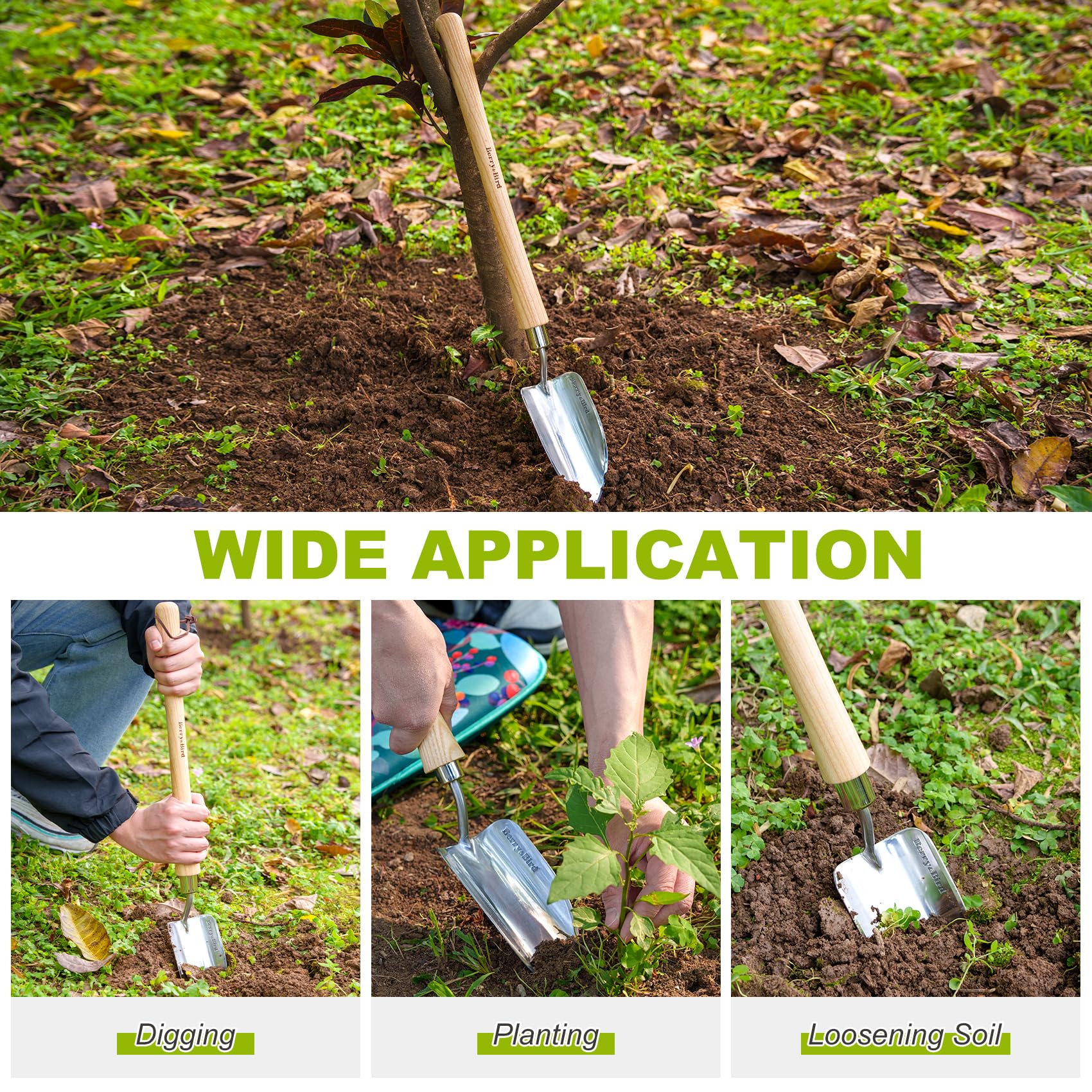 Berry&Bird Edelstahl Gartenhandkelle mit verlängertem Griff, ergonomischer Holzgriff, rostfrei und leicht zu reinigen, ideal zum Graben, Umpflanzen, Pflanzen Jäten in Ihrem Garten