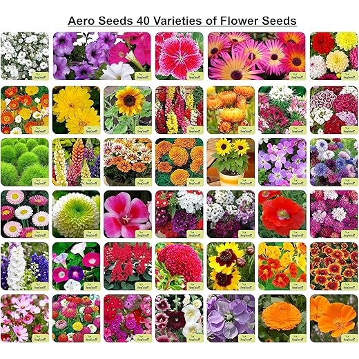 Aero Seeds Flower Seeds Combo 40 Varieties