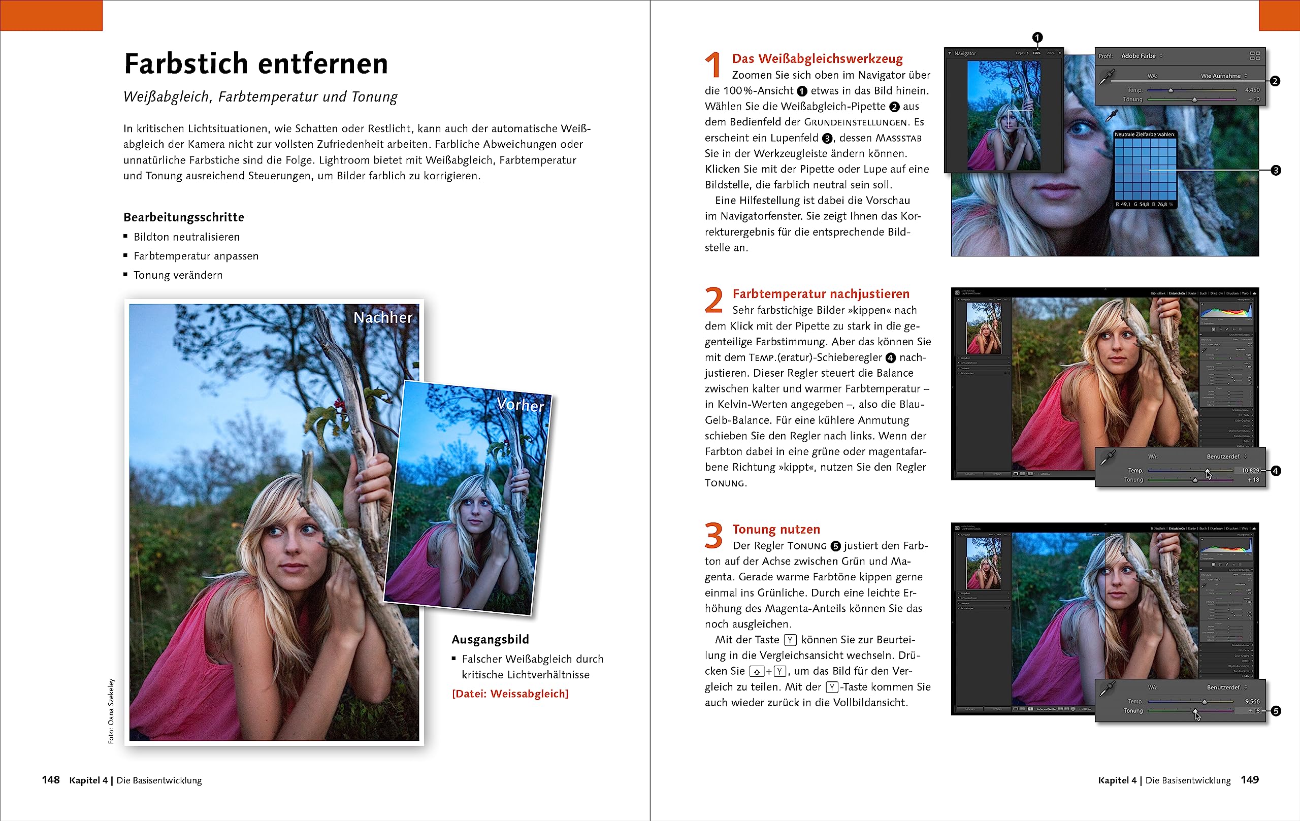 Lightroom Classic: das Workshop-Buch für Einsteiger und Fortgeschrittene. Schritt für Schritt zu perfekten Fotos (neue Auflage 2023)