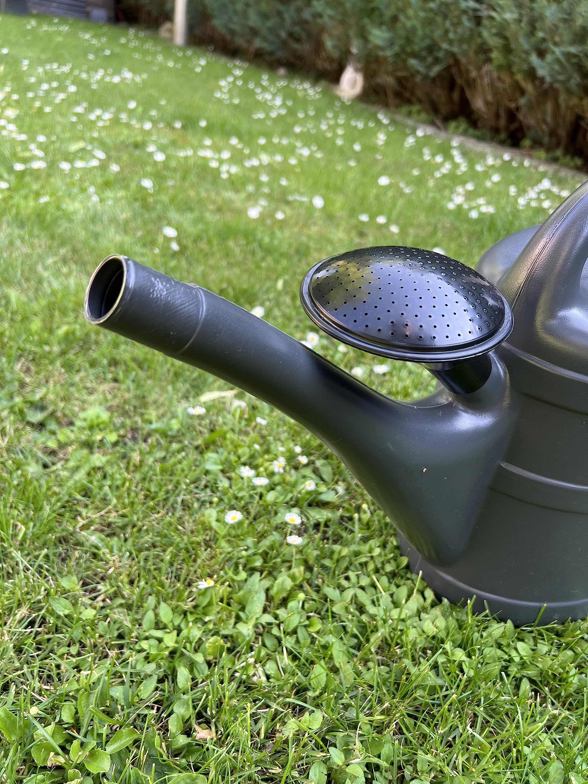 2X Gießkanne 10L ANTHRAZIT + 1x BILDMAGNET! Blumenkanne Kunststoff für groß & klein, Garten & Zimmerpflanzen Gießkannen Gieskanne Gieskannen Giesskanne 10 L Liter Watering Can Gieskannen10Liter