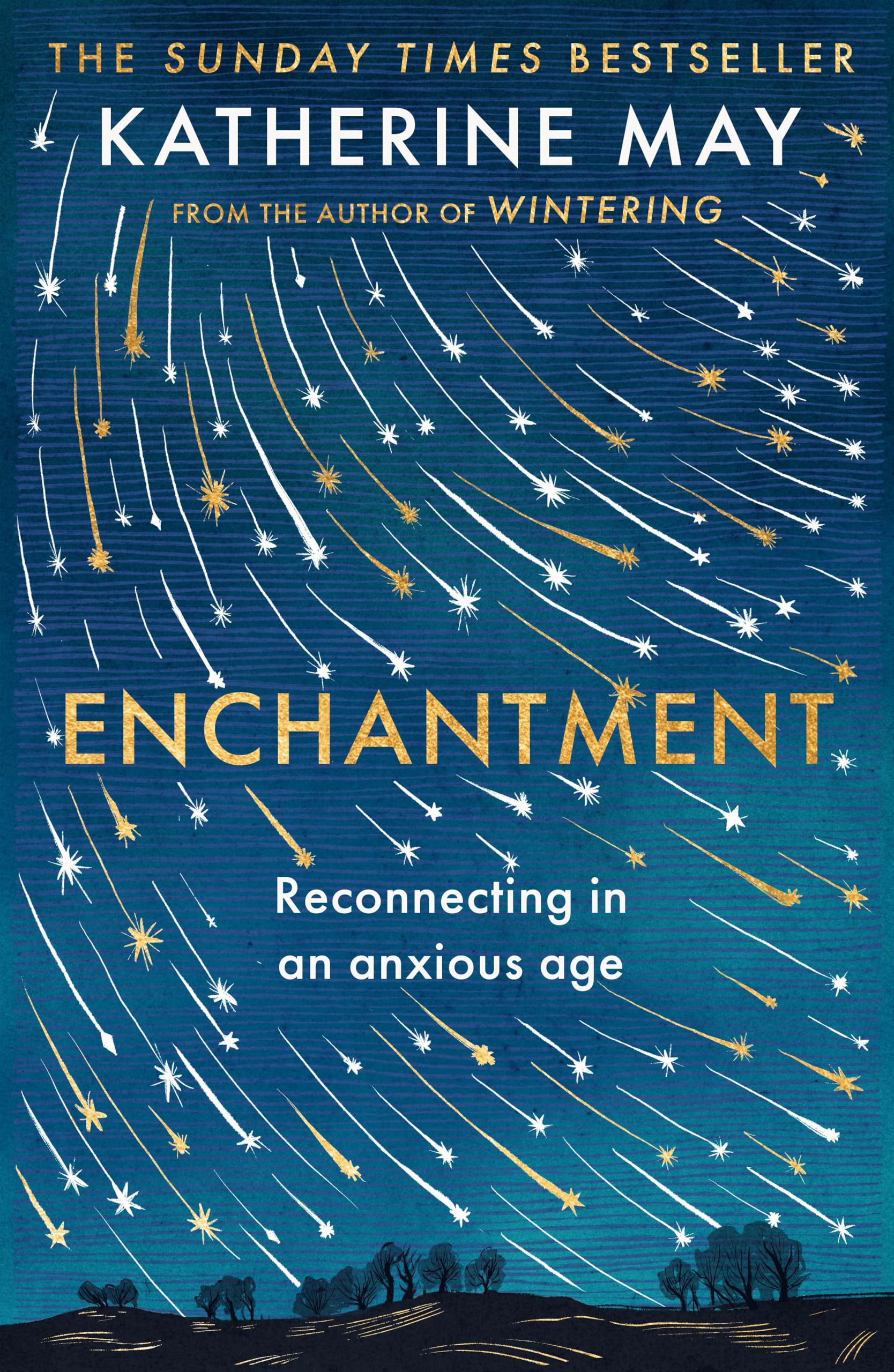 Enchantment: Reconnecting in an Anxious Age