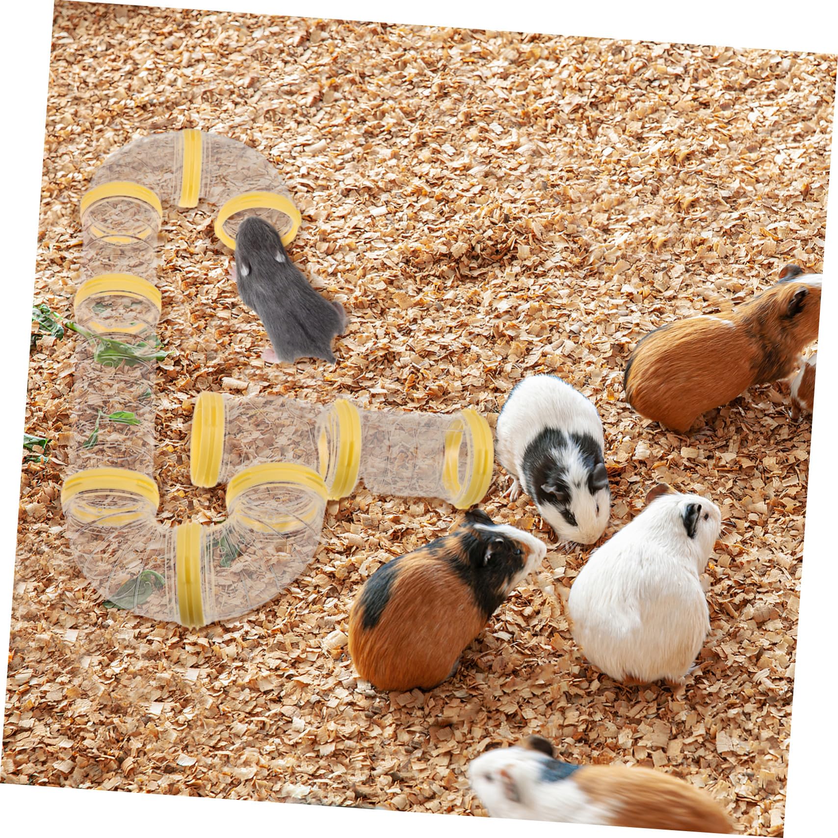 Hamsterröhrentunnel aus Kunststoff, Kaubeständig, 2 Stück | Frettchen und Kleine Tiere, Universell Passend, Röhrenform für Käfig und Tubesysteme