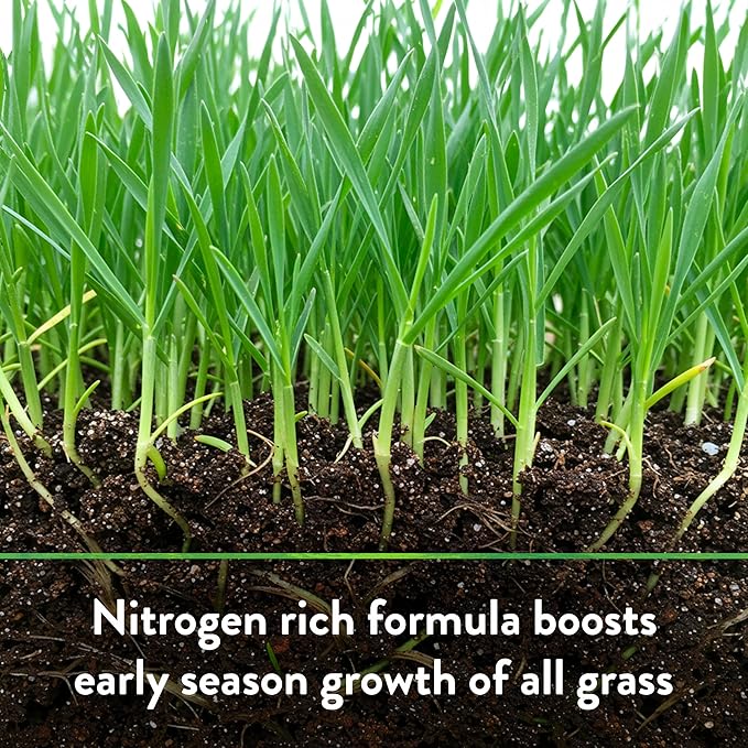 Down To Earth Bio-Turf Fertilizante Orgánico 8-3-5 25 Lb miniatura 7