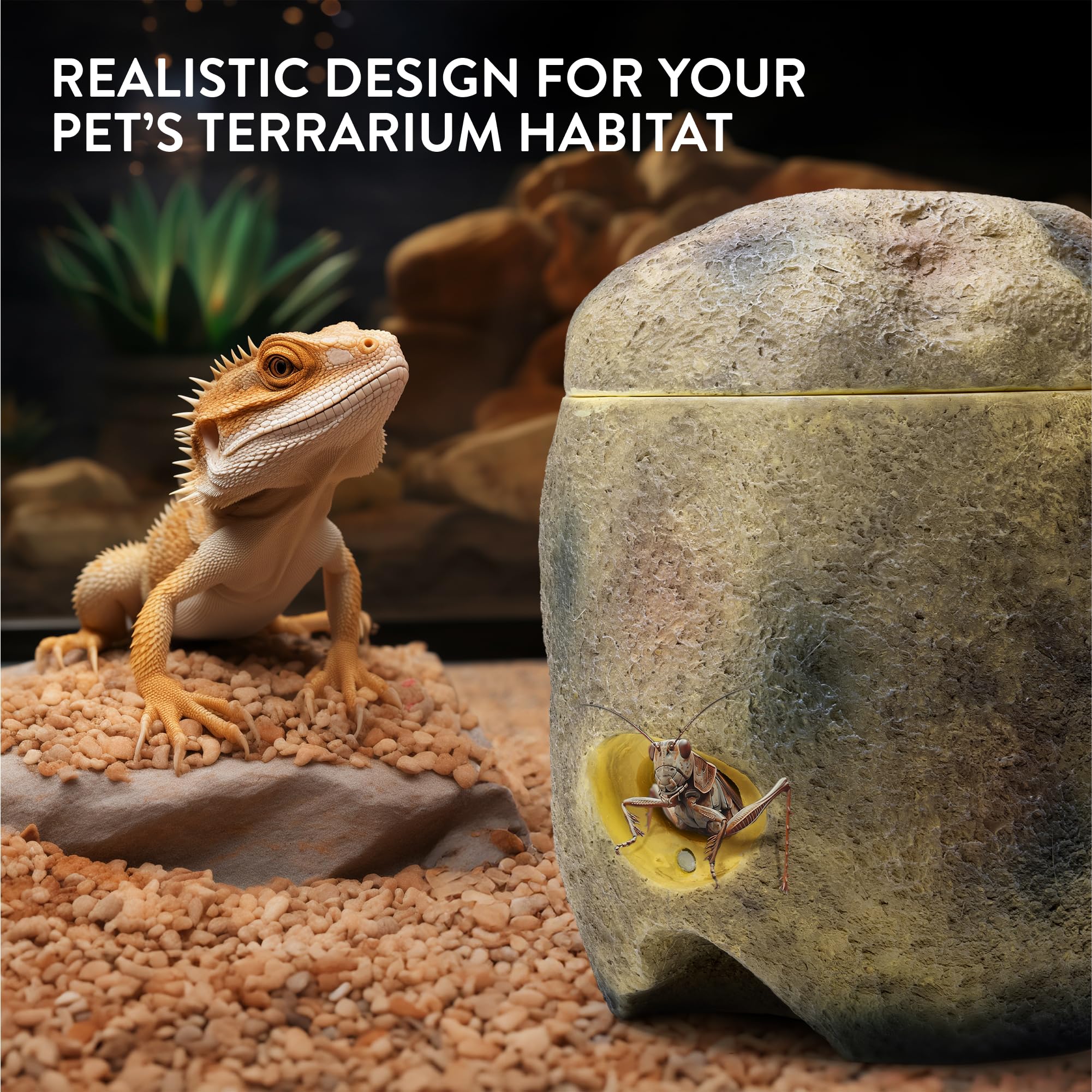 View of Reptile Supplies and Live Reptiles - LLLReptile