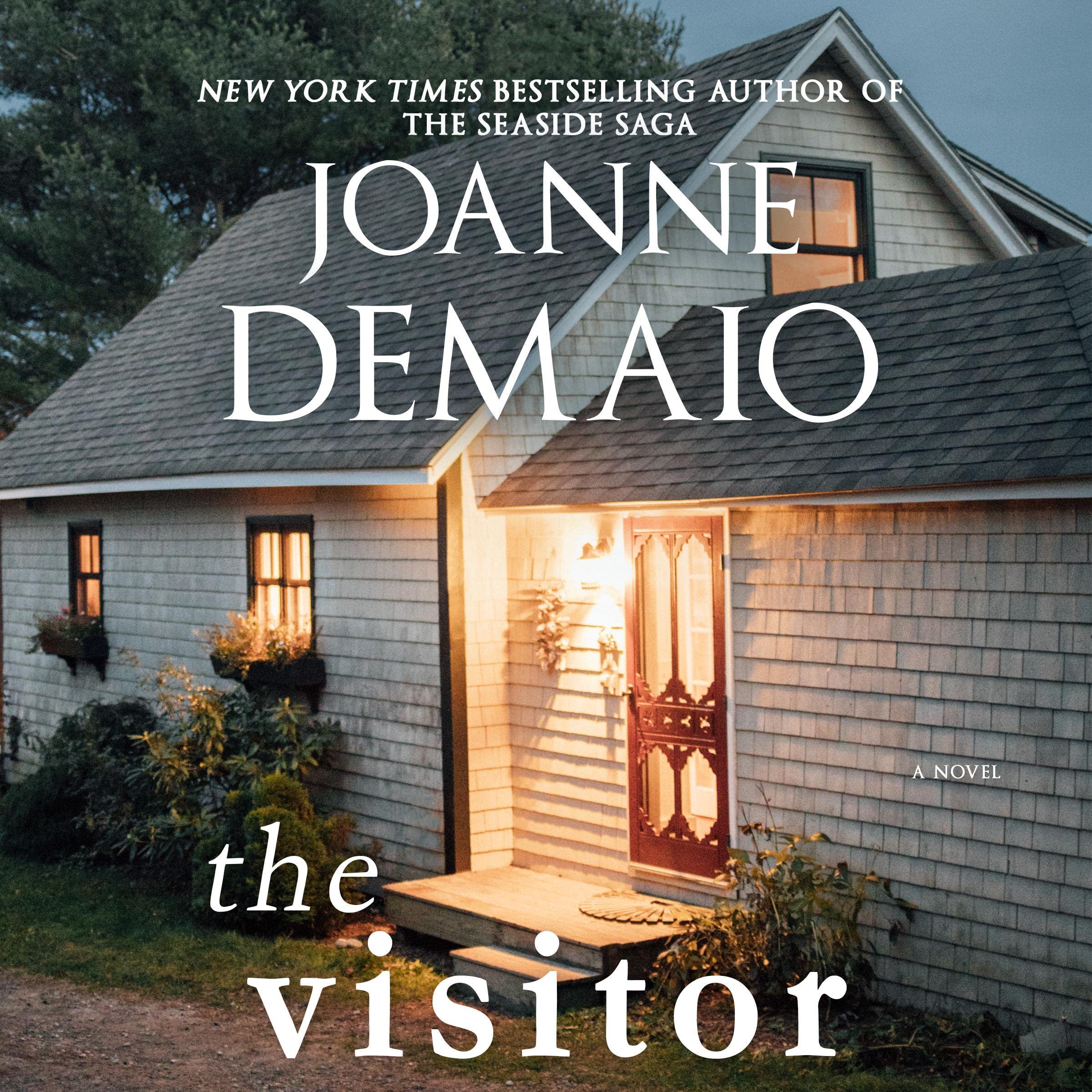 Cover art for The Visitor