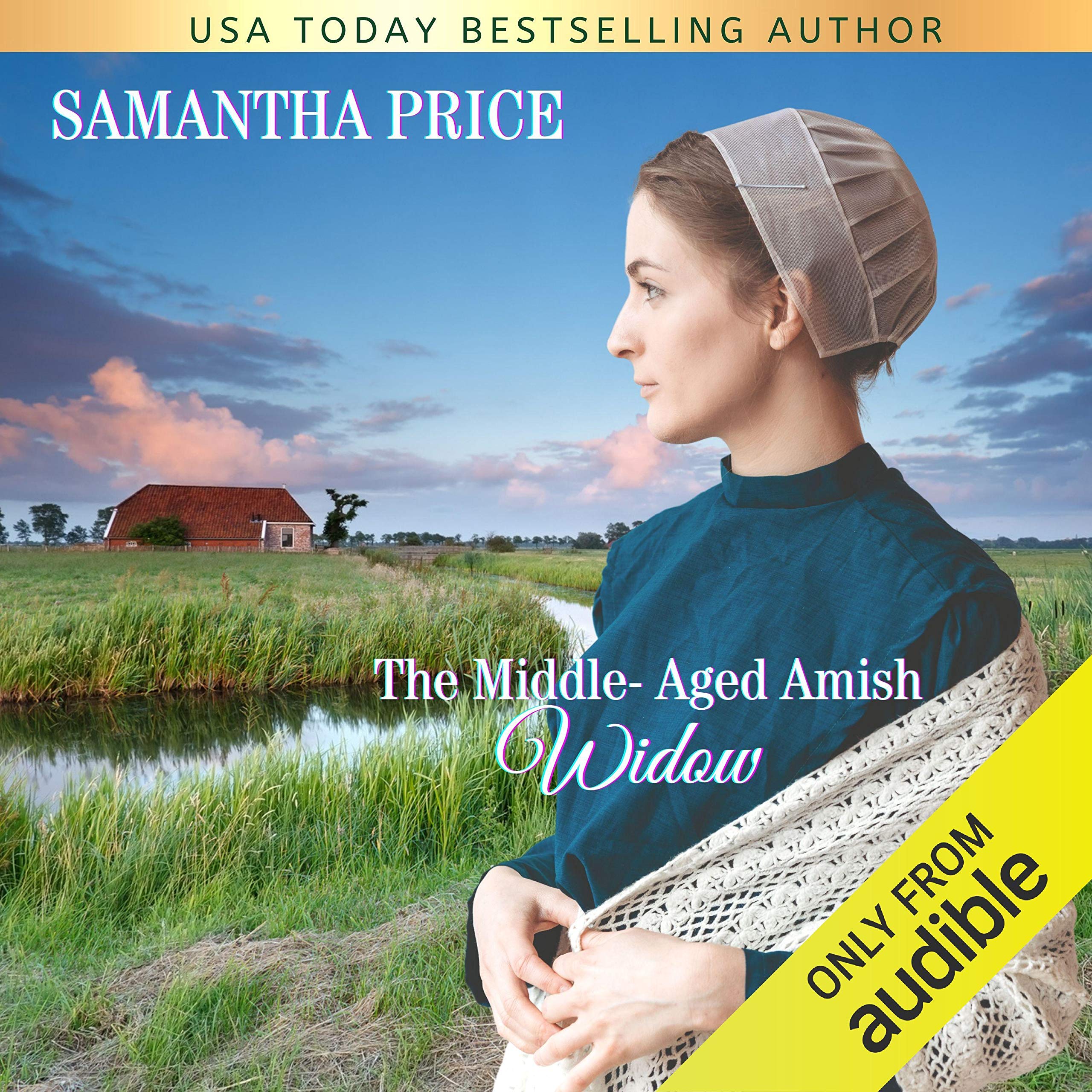 Cover art for The Middle-Aged Amish Widow