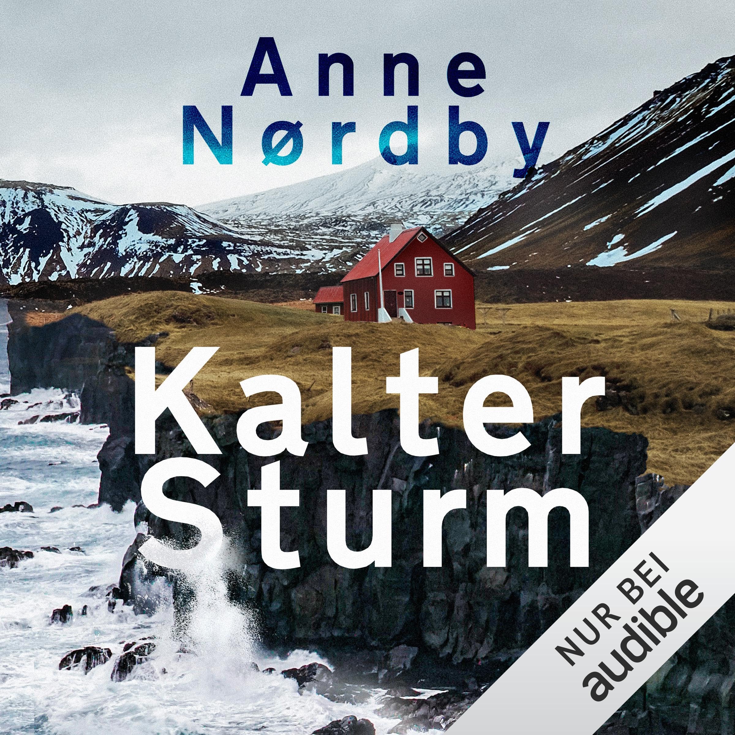 Cover art for Kalter Sturm - Tom Skagens vierter Fall