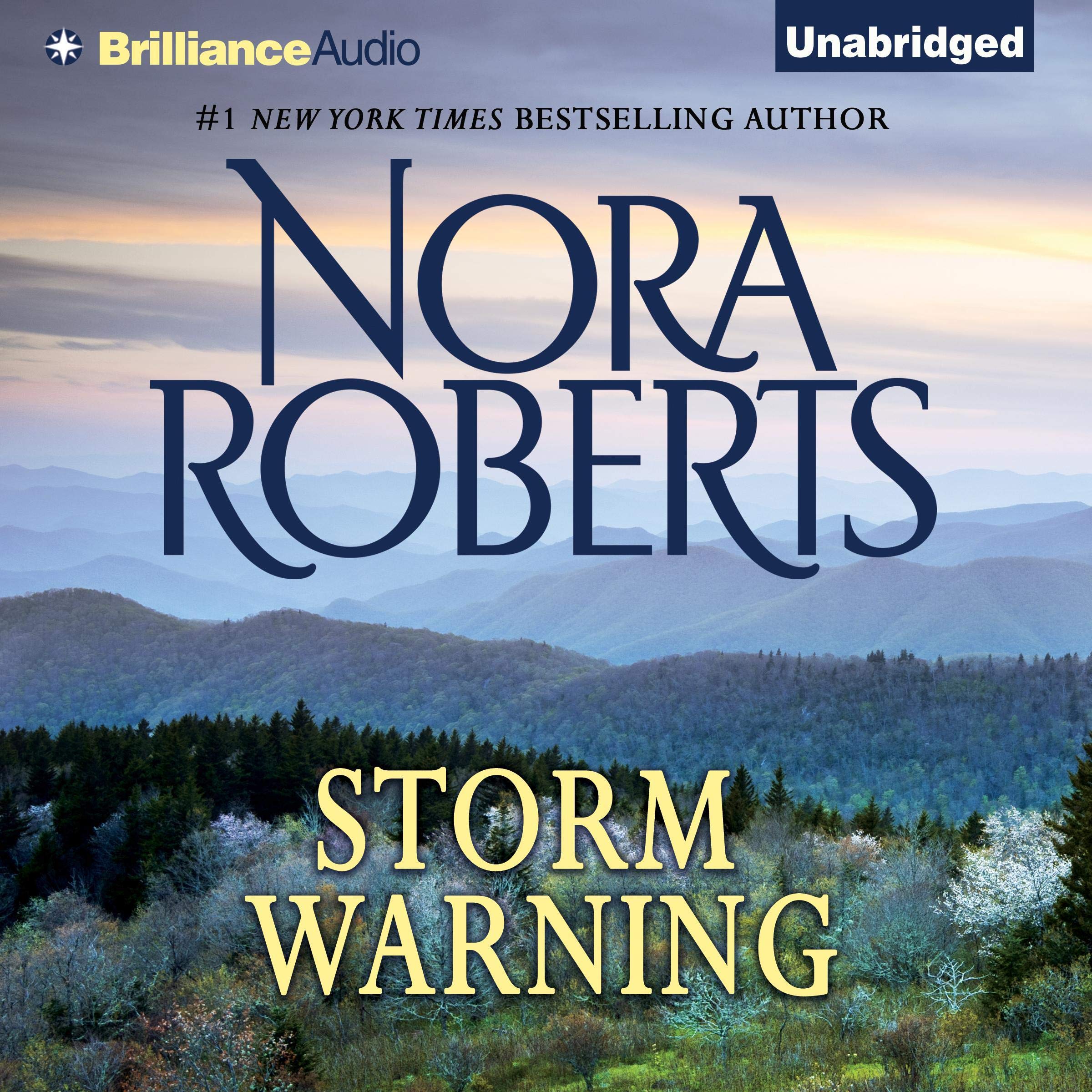 Cover art for Storm Warning