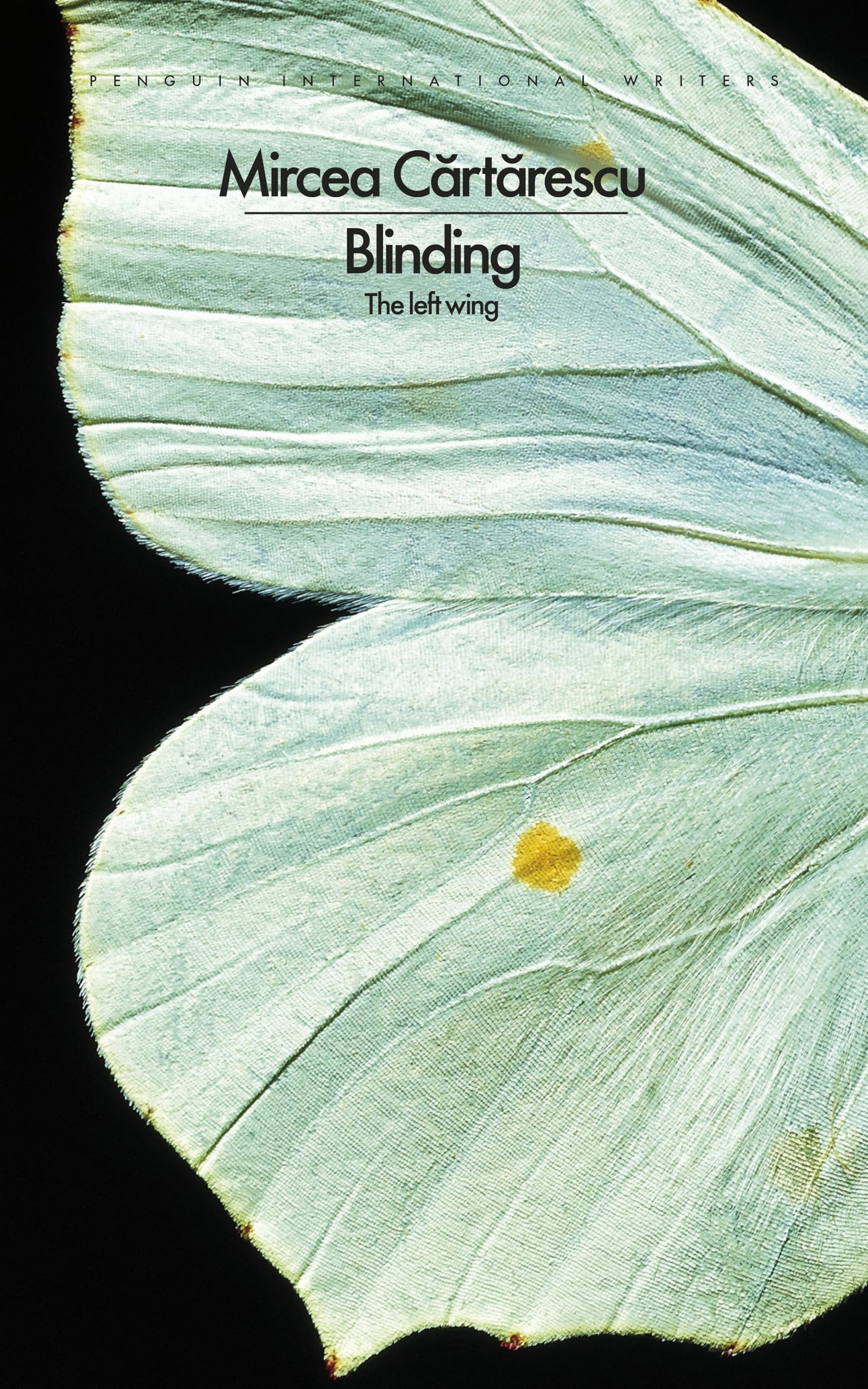 Mircea Cartarescu - Blinding: The Left Wing - Paperback Book