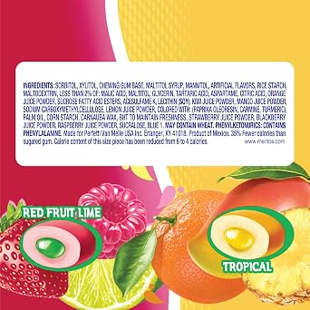 Mentos Gum Pocket Bottle, Red Fruit/Lime, 1.06 Ounce (Pack of 10) by Mentos