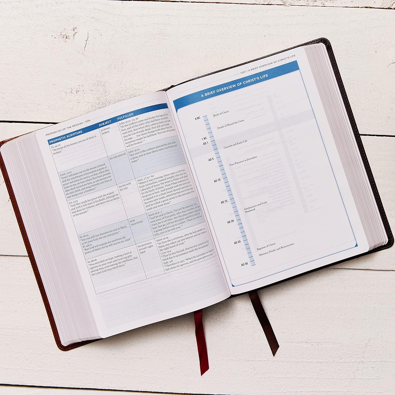 ESV, MacArthur Study Bible, 2nd Edition, Leathersoft, Brown: Unleashing God's Truth One Verse at a Time - Image 6