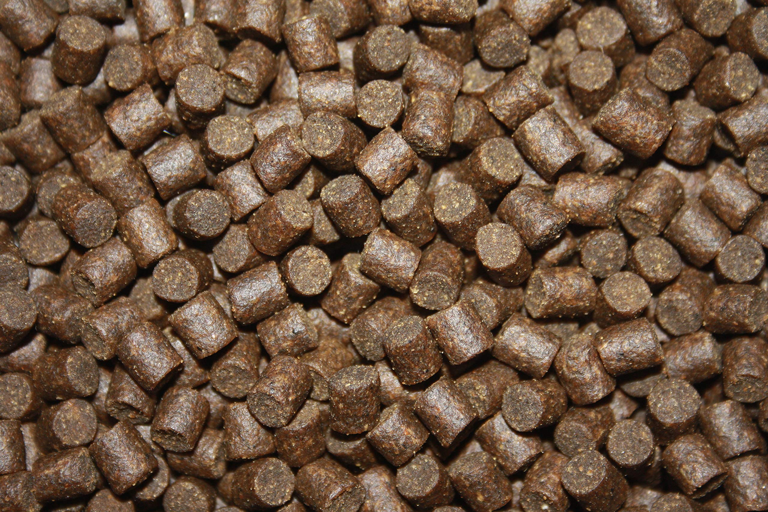 Störfutter, Sinkfutter, Energiefutter Stör, Kraftfutter, sinkendes Aufzuchtfutter für Störe, perfekt für jede Jahreszeit, hochverdaulich, arktische Rohstoffe, Tomodachi Premium Störsinkfutter 6mm 15kg