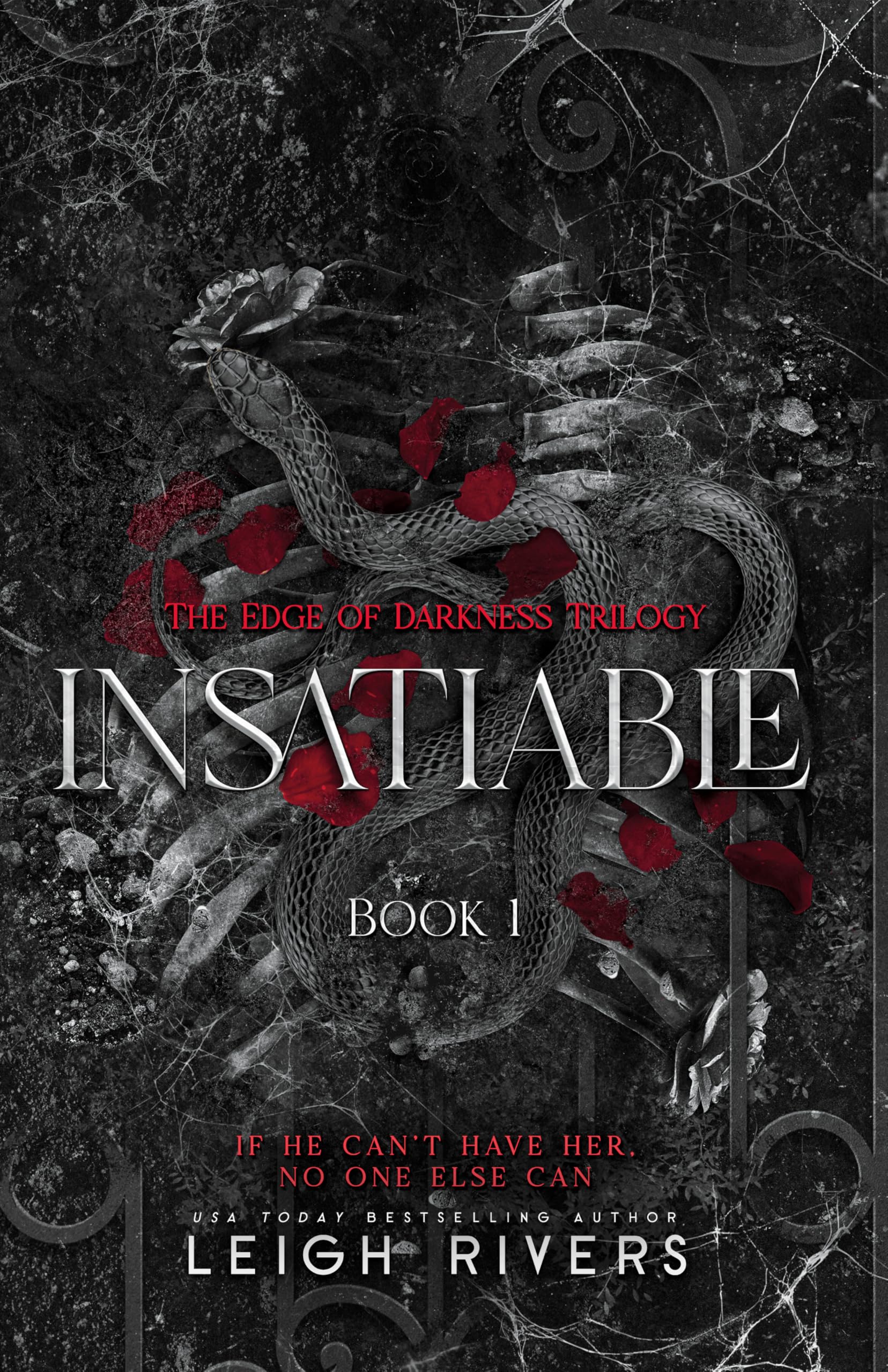 Cover image of Insatiable  by Leigh Rivers