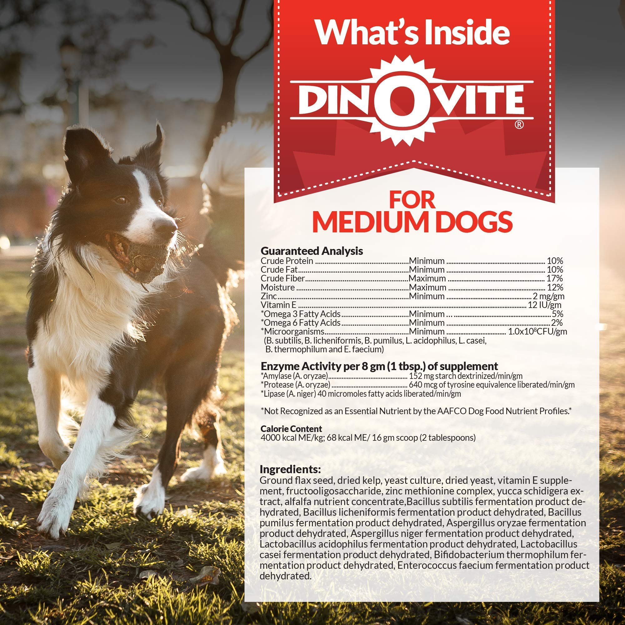 Dinovite Dog Supplement Immune, Digestive & Skin + Coat Support