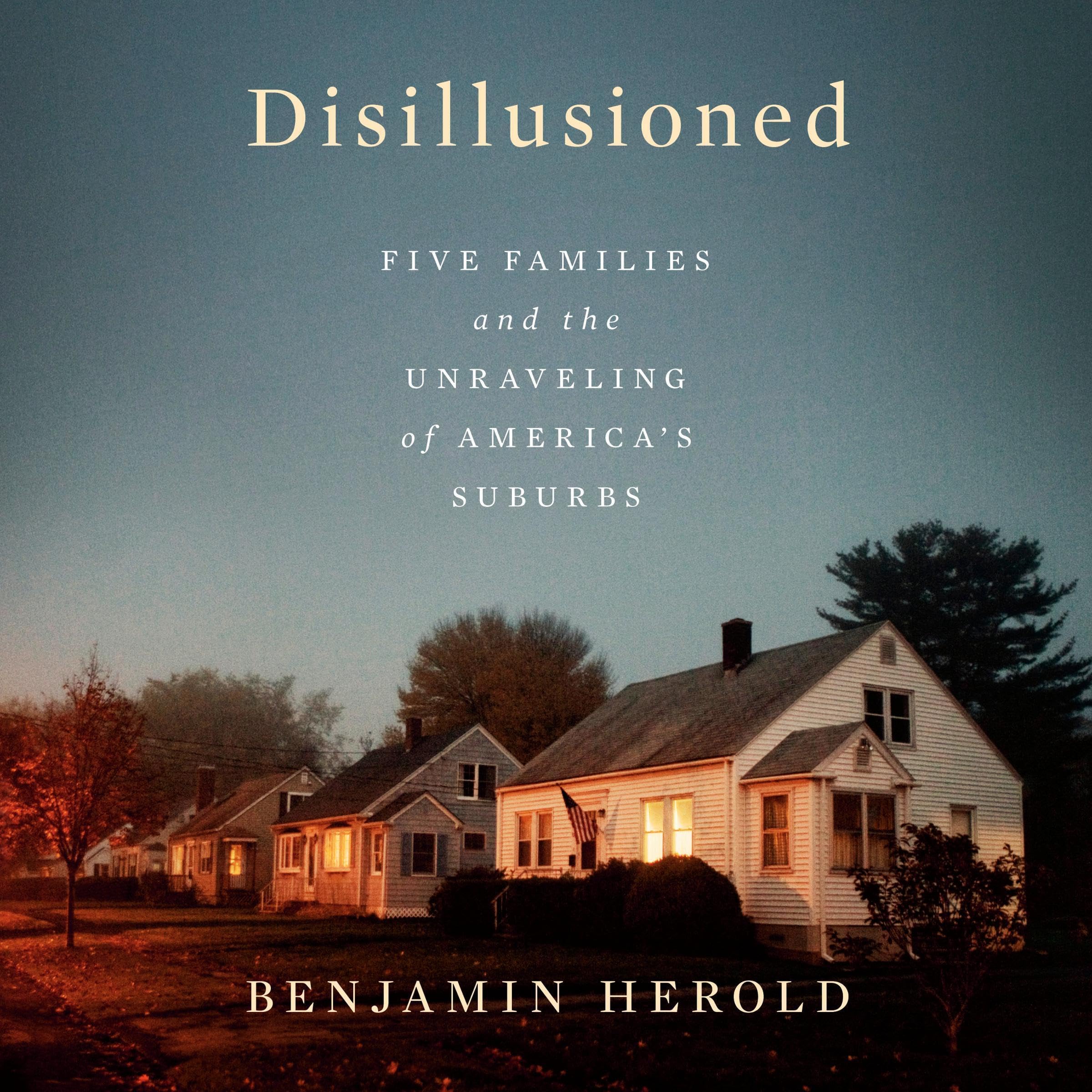 Cover art for Disillusioned