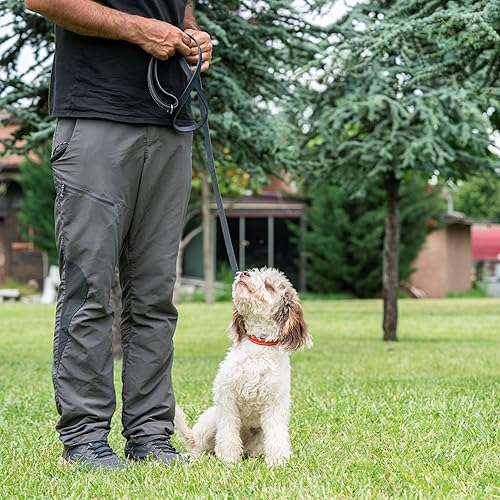 Miniatura 3 de Filbert Collar de cuero para perro, collar de cuero genuino para perros medianos, acolchado de lujo, fuerte, ajustable para todas las razas, hebilla