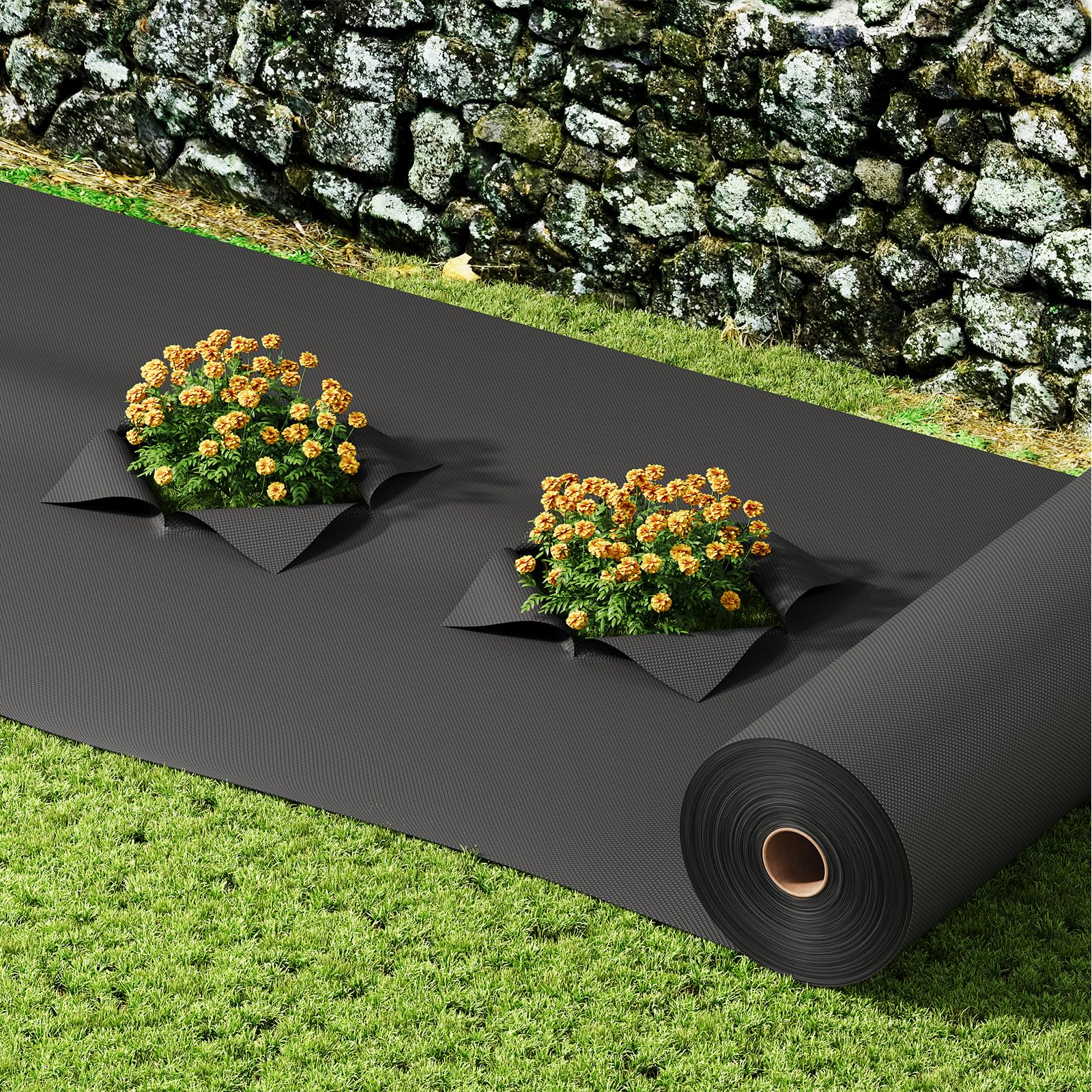 OUNUO Telo Pacciamatura 1 x 50M, 100g/m² Tessuto Non Tessuto Anti Erbacce, con 50 Picchetti a U, Telo Anti Erbacce per Orto, Giardino, Tessuto Permeabile all'Acqu, Stabilizzazione UV, Nero