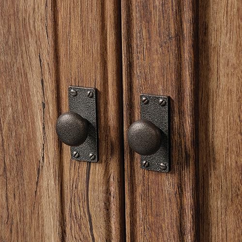 Miniatura 5 de Sauder Palladia - Estantería con puertas, almacenamiento multihabitación, biblioteca, acabado de roble vintage Vintage Oak,Roble Glaciar,Seleccionar