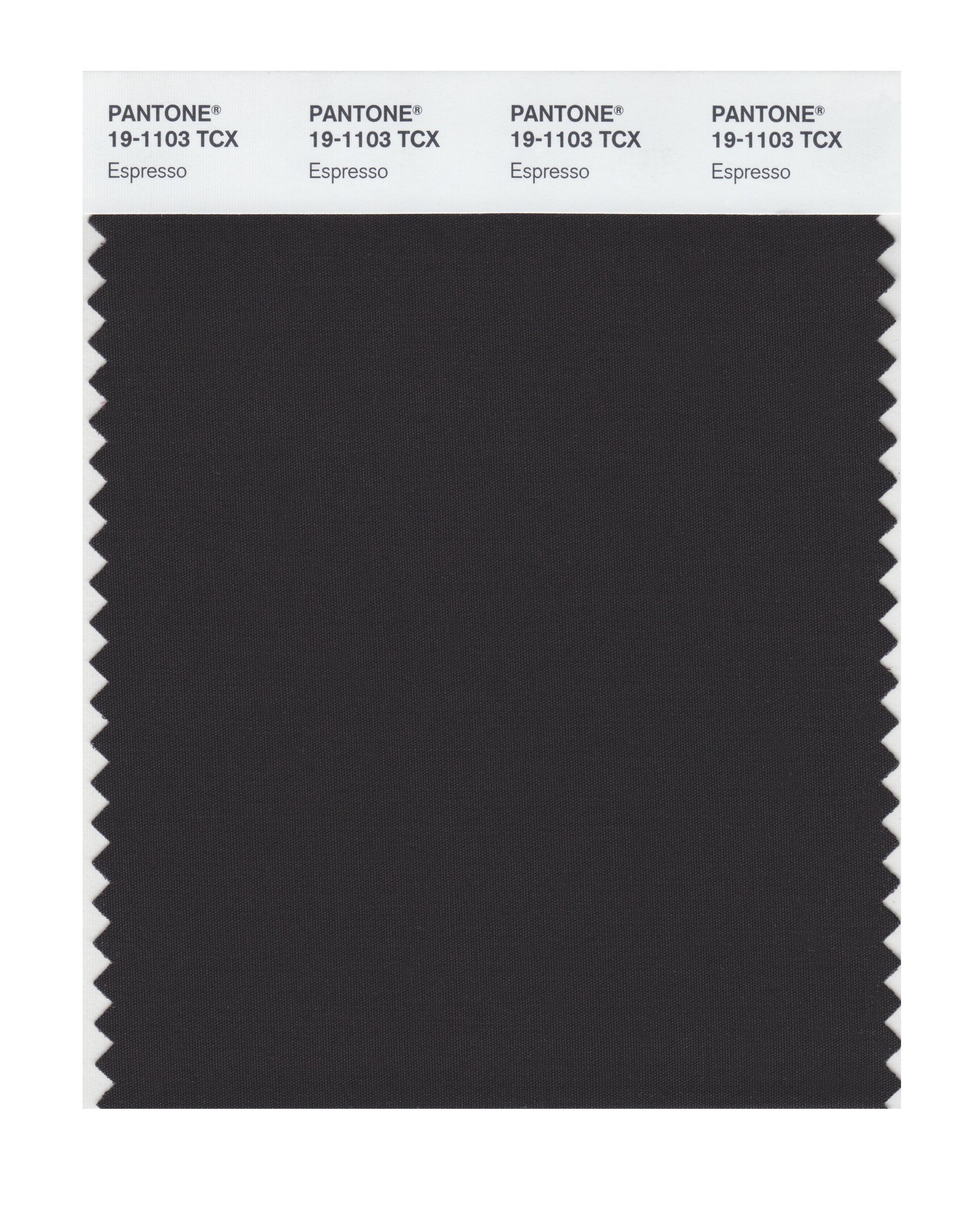 TRIA pantone by letpaset 油性ペン　156本 Amazon.com: Pantone 19-1103 TCX Smart Color Swatch Card, Espresso