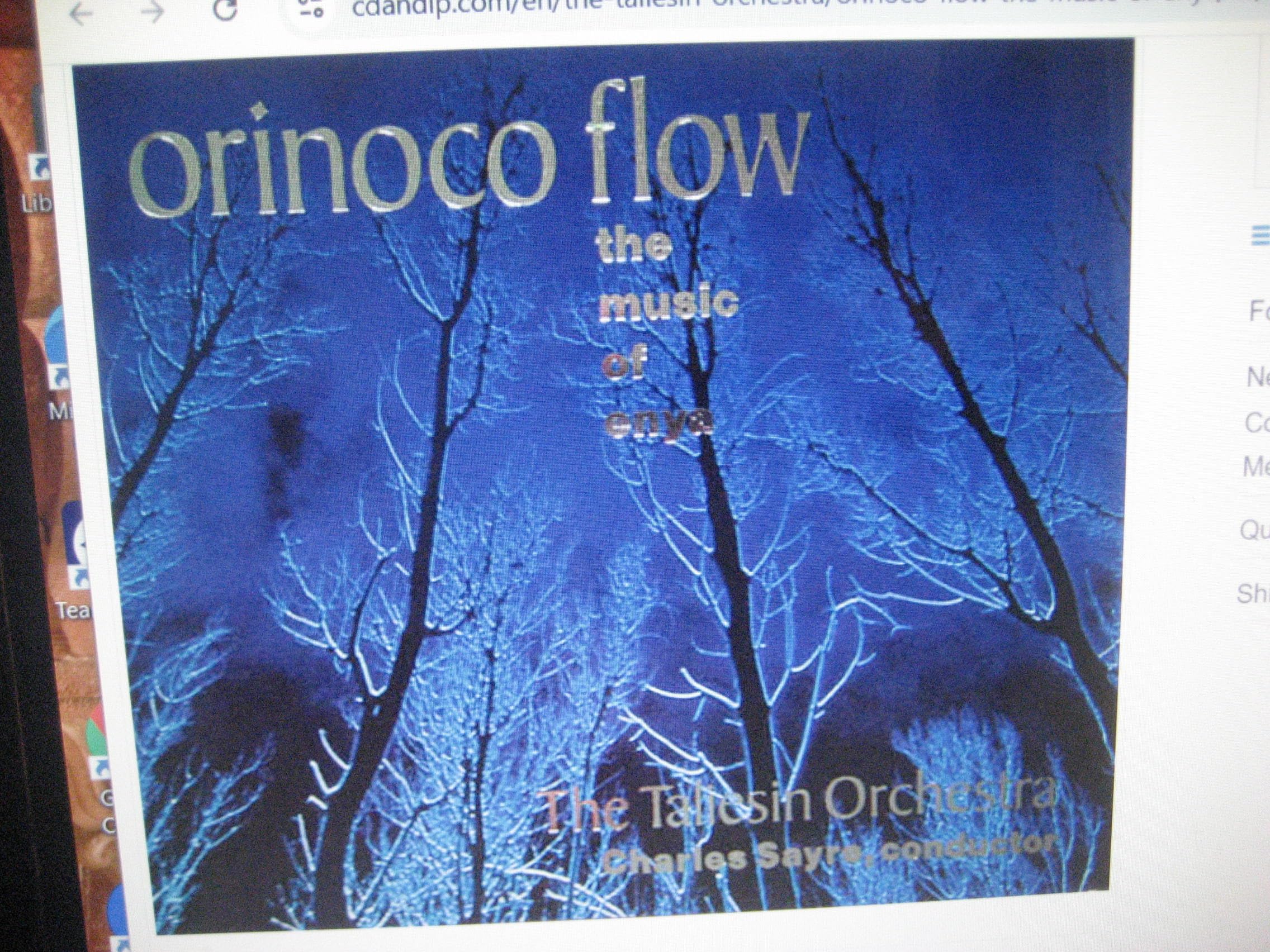 Orinoco Flow [Audio CD] Various and The Taleisin Orchestra