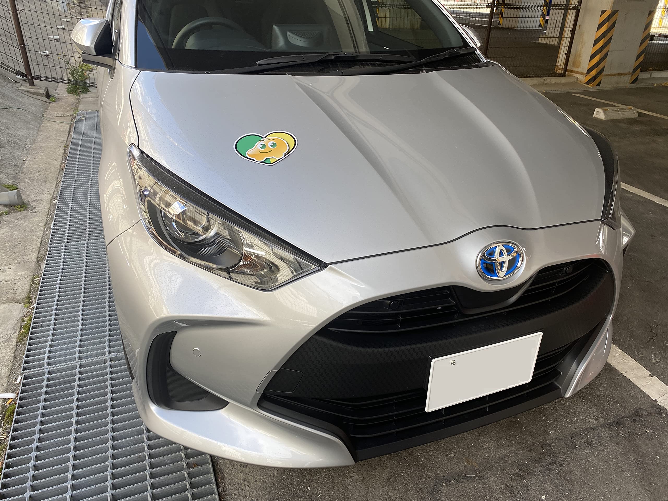Amazon | ペーパードライバーマーク 車用マグネット 2枚入り カー用品 