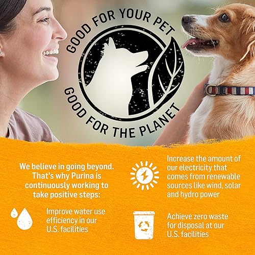 Miniatura 9 de Purina Beyond alimento húmedo sin cereal para perros adultos natural