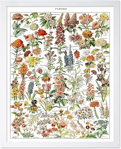 Miniatura 218 de Poster Master Póster vintage de orquídea, estampado de flores retro, arte de pared de plantas exóticas, arte botánico, regalo para hombres y