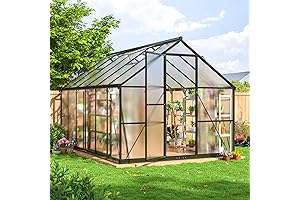 12 * 8 FT Invernadero para Plantas al Aire Libre