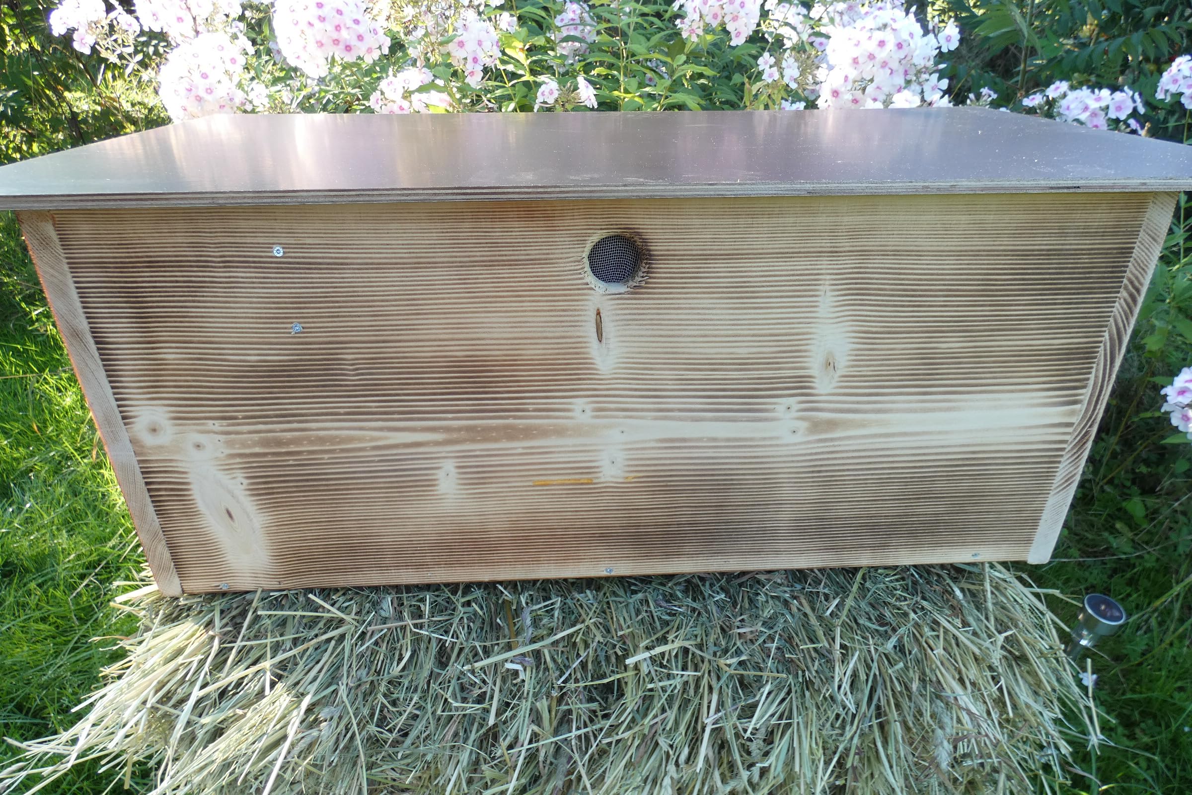 Igelfutterhaus mit Beobachtungsfenster 80cm x 40cm x 32cm Igelhotel 18mm Vollholz Witterungsbeständig Labyrintheingang easytouch-Rattenklappe (Edel geflammt, Mit Beobachtungsfenster ohne Boden)