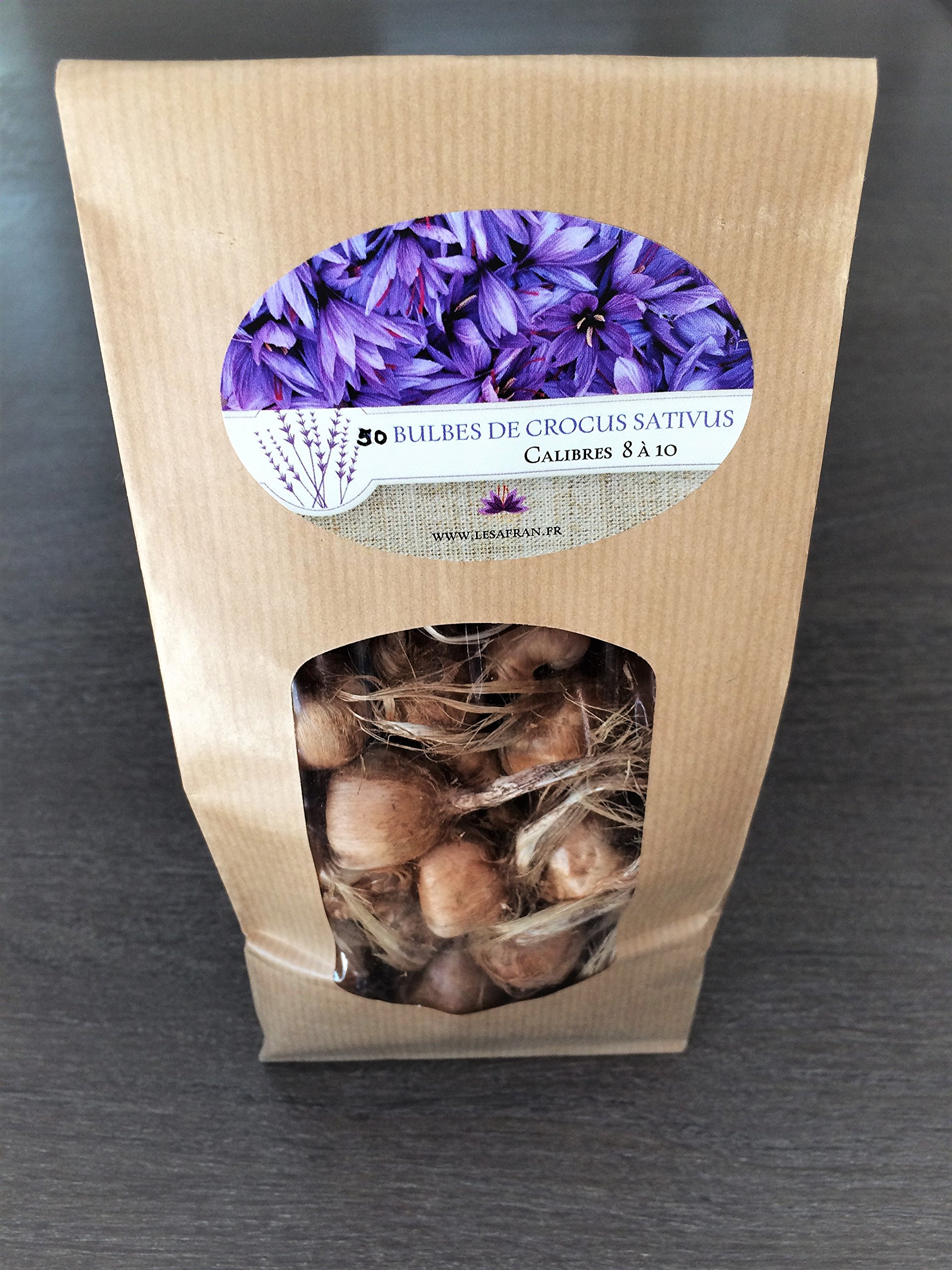 50 BULBES DE SAFRAN FRANCAIS BIO (Crocus Sativus) calibres 8-9-10