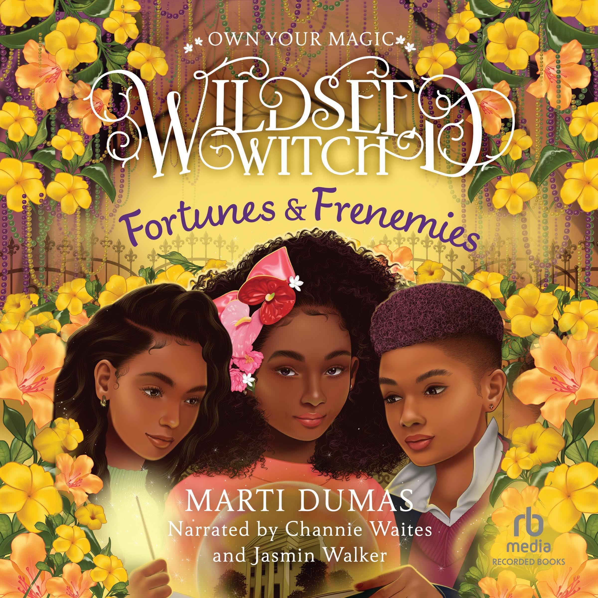 Book cover for Fortunes & Frenemies