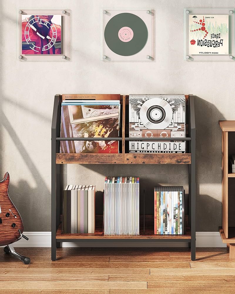 Amazon.com: CHOEZON 2-Tier Vinyl Record Storage Holder Rack, 250