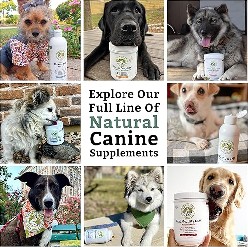 Miniatura 8 de Wholistic Pet Organics Canine Complete Suplemento orgánico de calabaza para perros 1 libra - Polvo de calabaza para perros - Suplemento de fibra