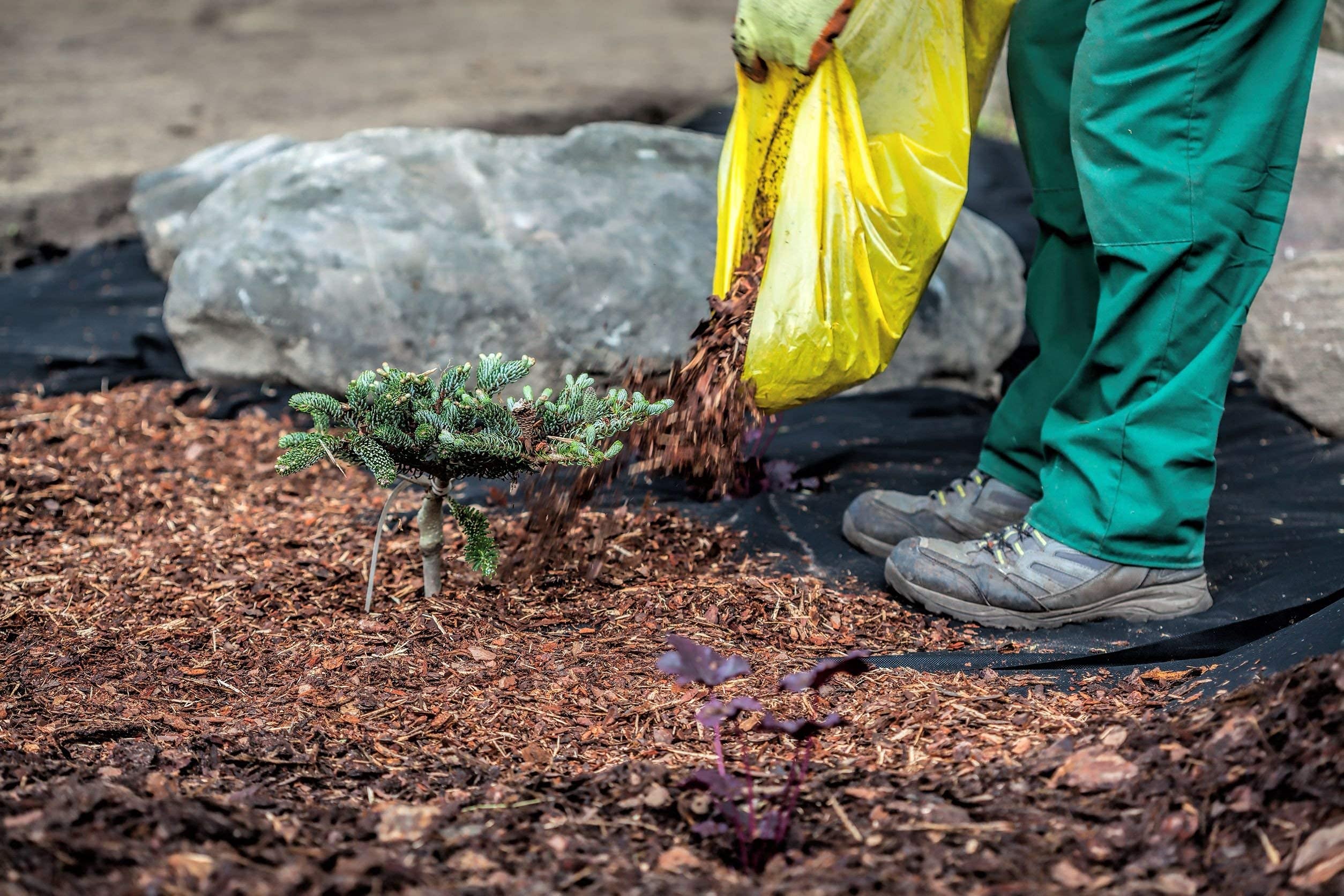 52,50m², 1,5m breit 150g/m² Garten Unkrautvlies von Aquagart inkl. 10 Erdanker I umweltfreundliche Unkrautmatte aus Polypropylen, Gartenvlies wasserdurchlässig I Mulchvlies Wurzelvlies gegen Unkraut