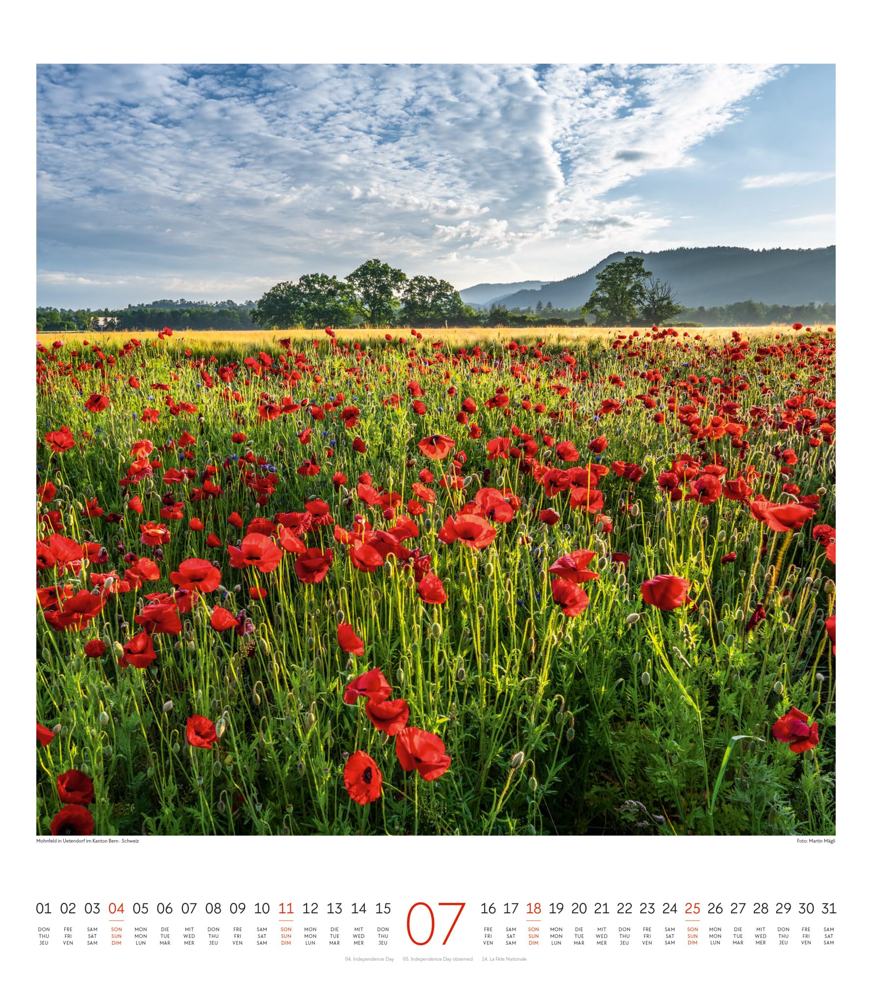 Lichtblicke Kalender 2027 | Stimmungsvoller Natur-Kalender im großen Hochformat (48x54 cm) | Landschaften im Licht der Sonne