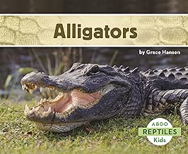 Alligators (Reptiles)