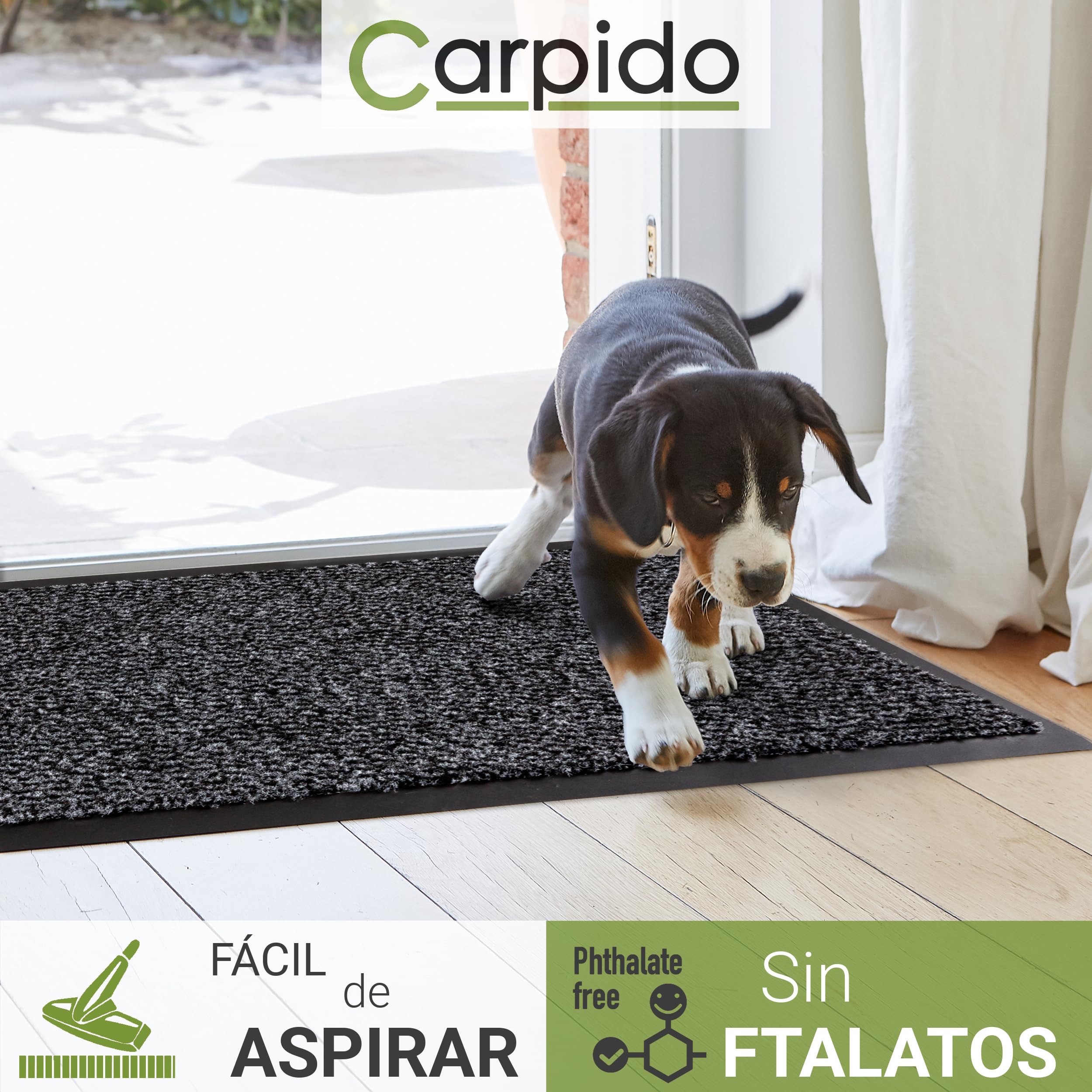 Carpido Alfombrilla de Recogida de Felpudo, Vinilo, Gris, 120 x 180 cm