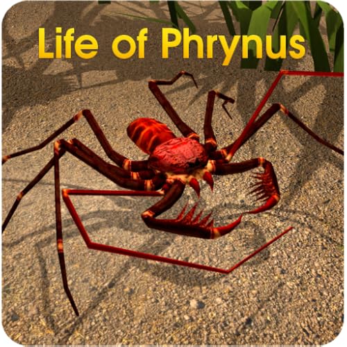 Life of Phrynus - Whip Spider