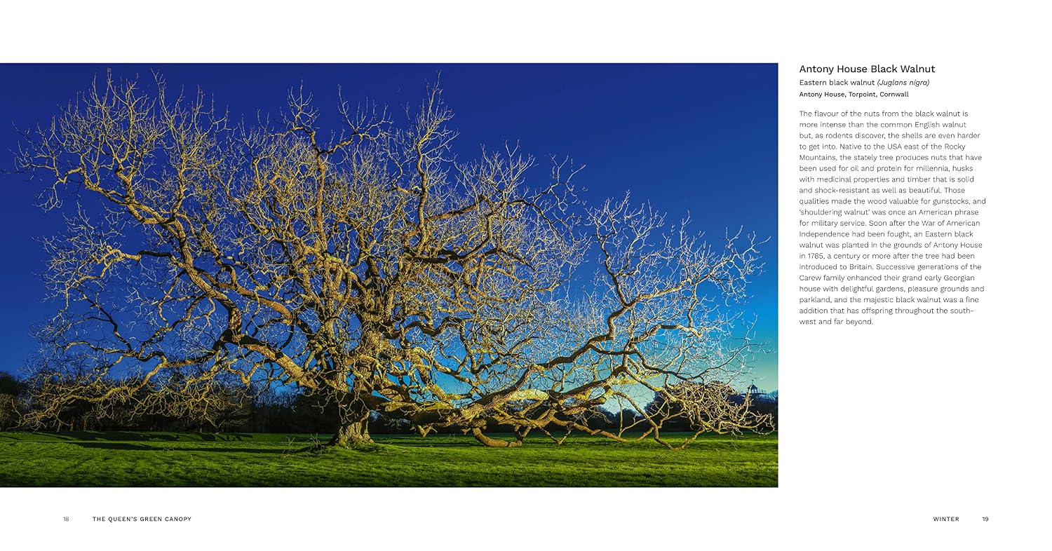 The Queen's Green Canopy: Ancient Woodlands and Trees