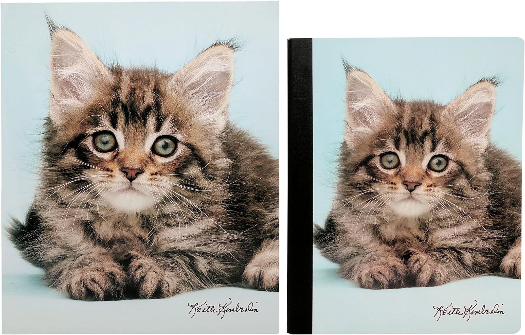 Cute Puppy Or Kitten Back to School Set – Pocket Folder and Composition Notebook (Fluffy Kitten)